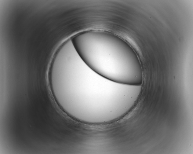 X0000088140944200706111423