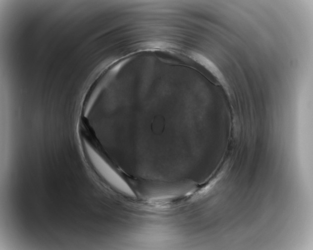 X0000088140946200706111423