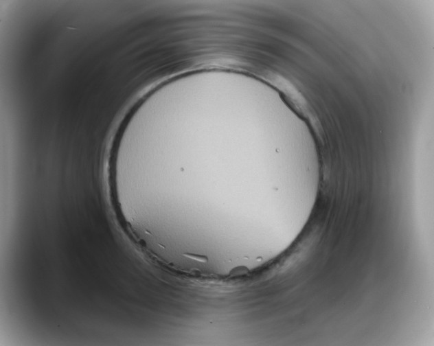 X0000088140947200706111423