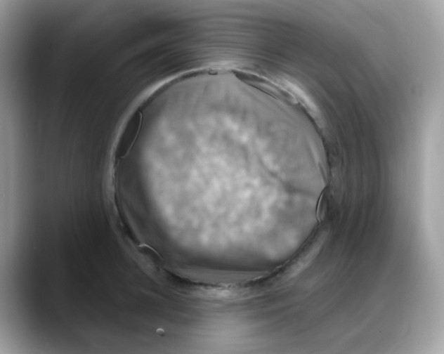 X0000088140948200706111423