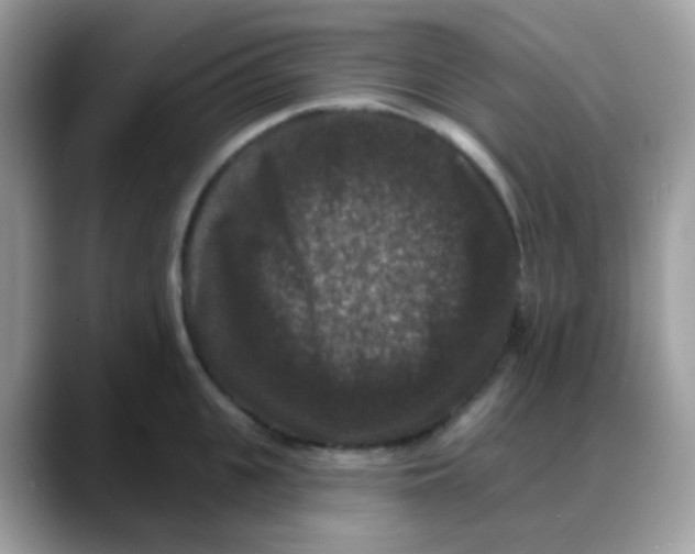 X0000088140951200706111423