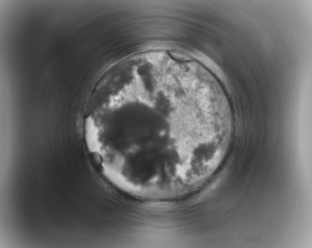 X0000088140953200706111423