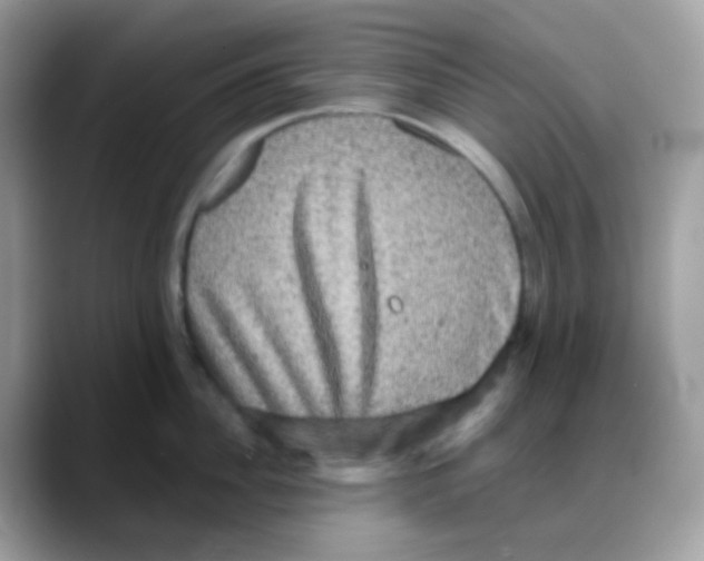 X0000088140956200706111423