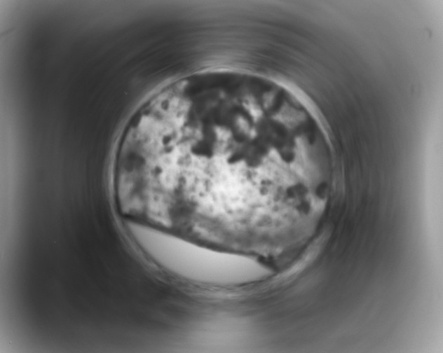 X0000088140957200706111423