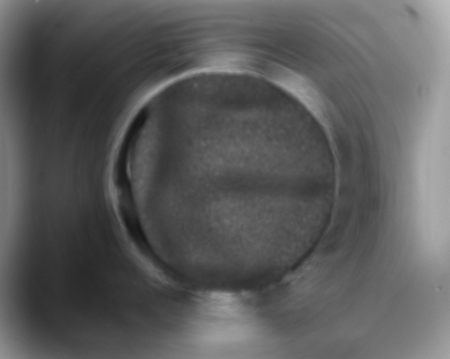 X0000088140960200706111423