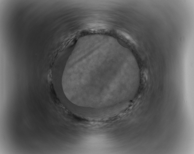 X0000088140965200706111422