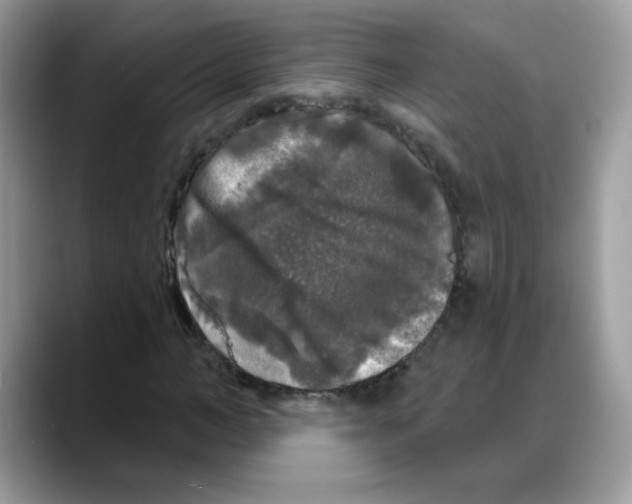 X0000088140966200706111422