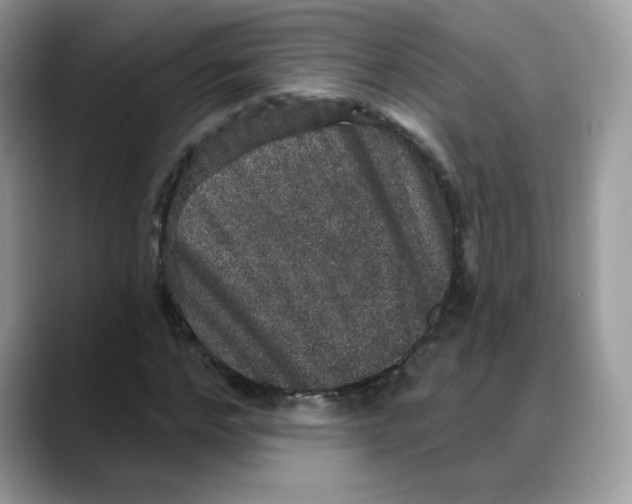 X0000088140968200706111422