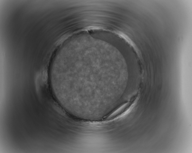 X0000088140969200706111422