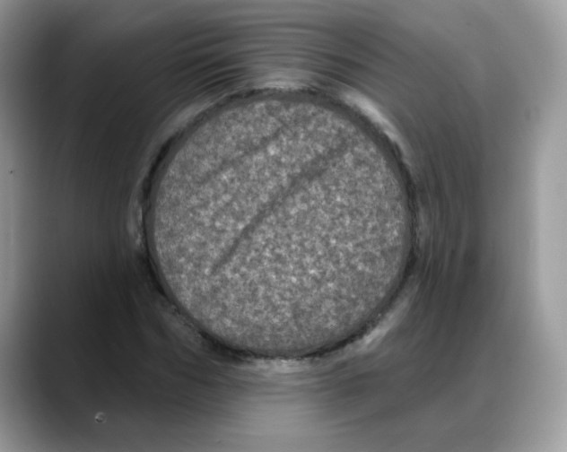 X0000088140970200706111422