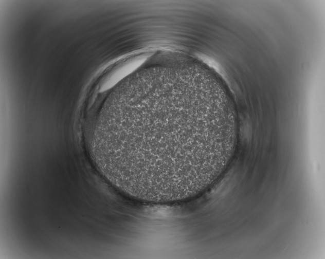 X0000088140971200706111422