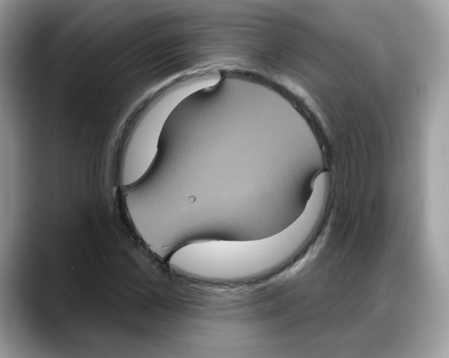 X0000088140973200706111422