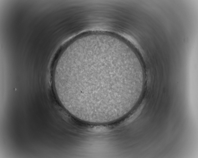 X0000088140974200706111422