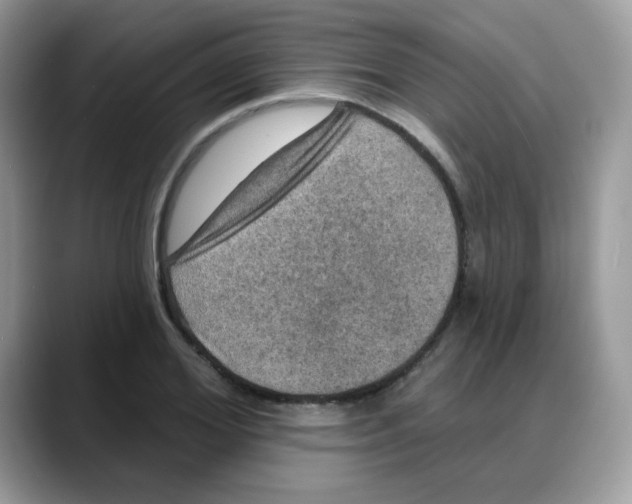 X0000088140980200706111422