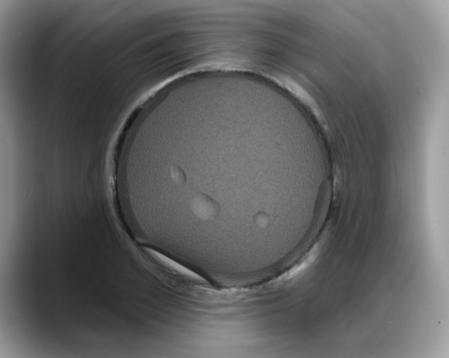 X0000088140981200706111422