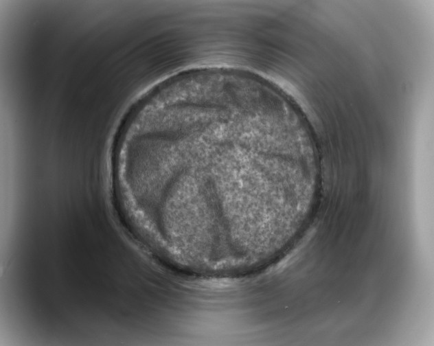 X0000088140982200706111422