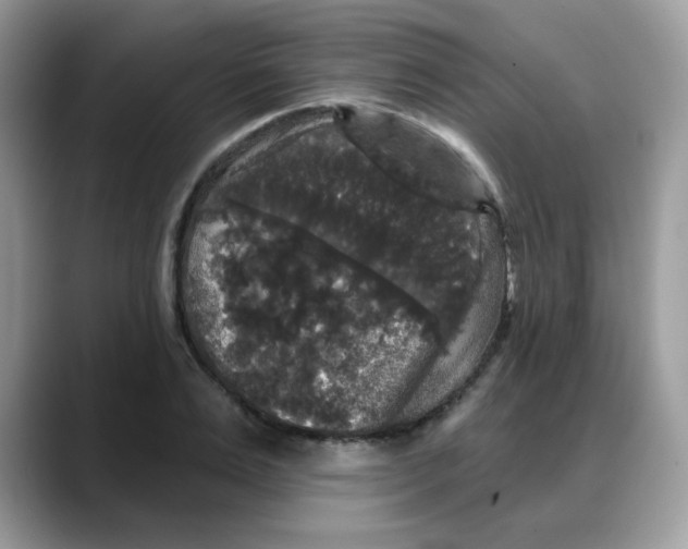 X0000088140983200706111422