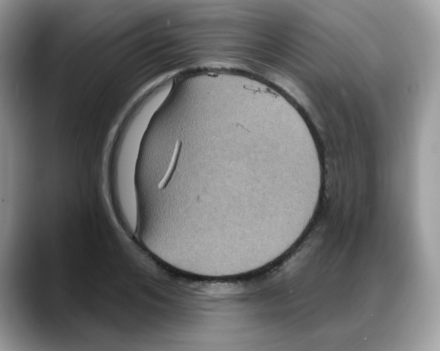 X0000088140984200706111422