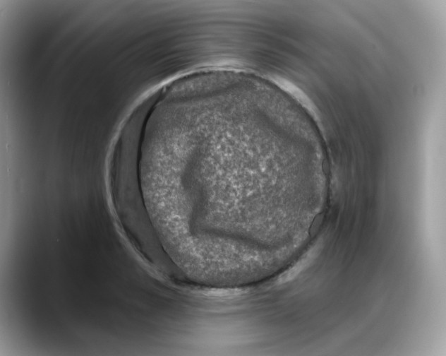 X0000088140989200706111422