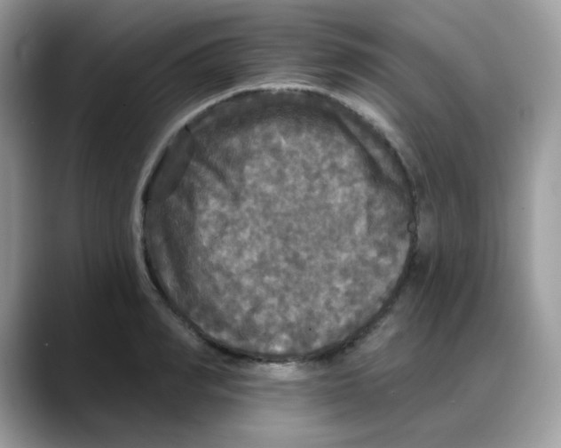 X0000088140990200706111422