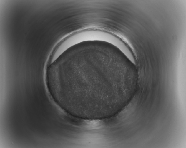 X0000088140991200706111422