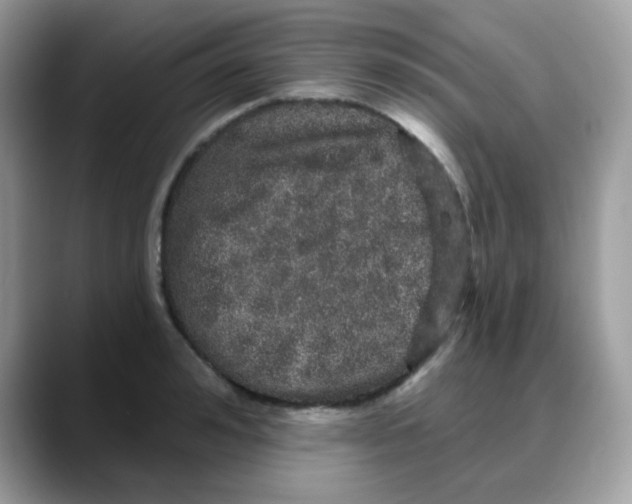 X0000088140992200706111422