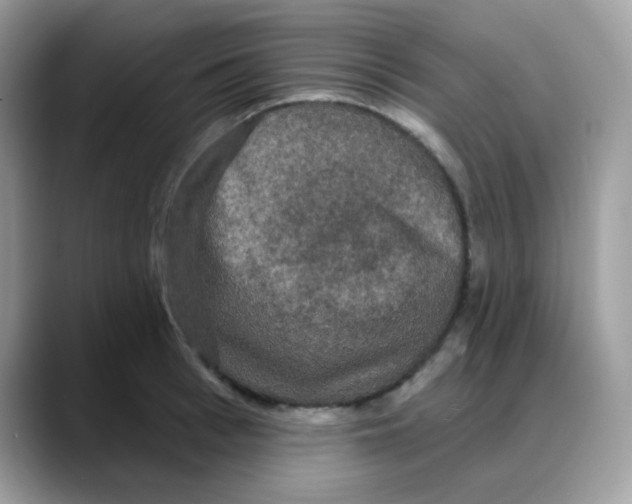 X0000088140993200706111422