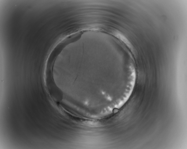 X0000088140994200706111422