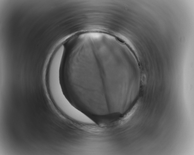 X0000088140995200706111422