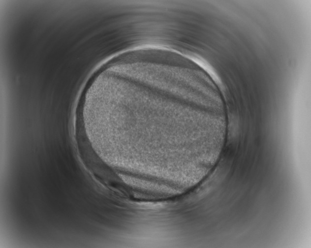 X0000088140996200706111422