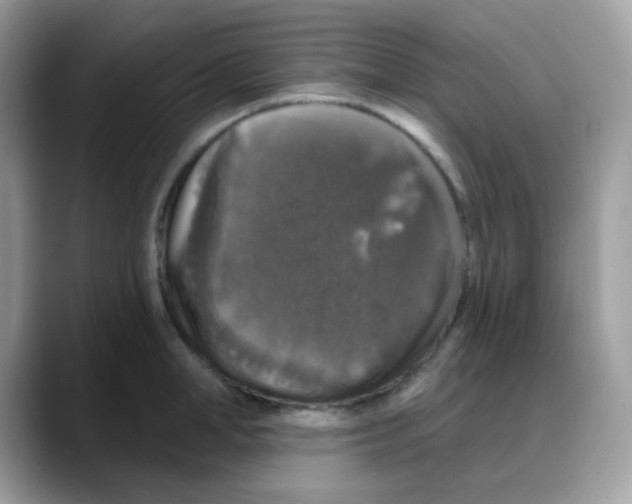 X0000088140998200706111422