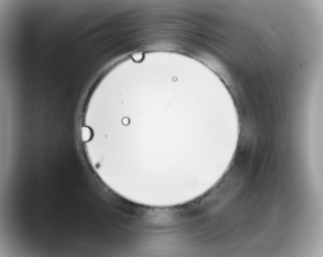 X0000088141000200706111422