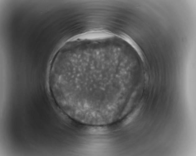 X0000088141002200706111422