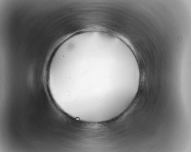 X0000088141003200706111422