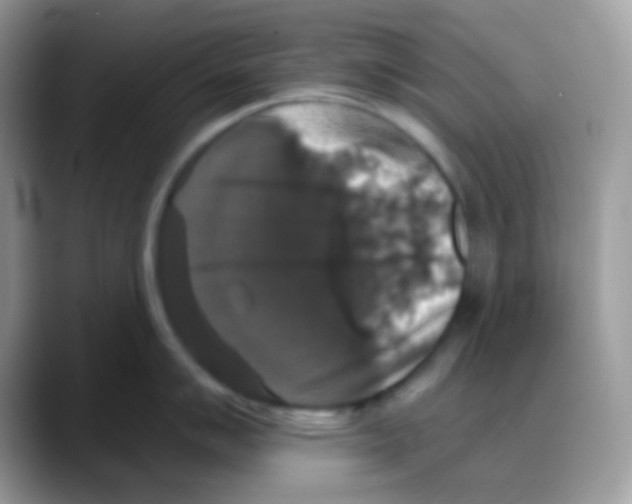 X0000088141007200706111422