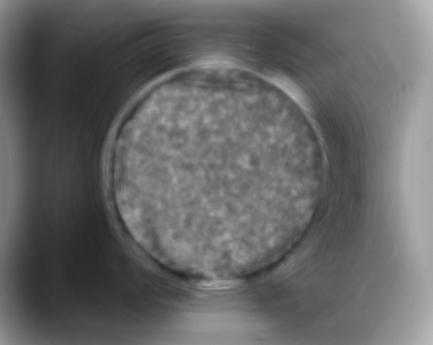 X0000088141008200706111422