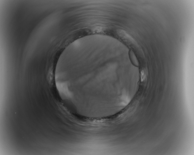 X0000088141011200706111421