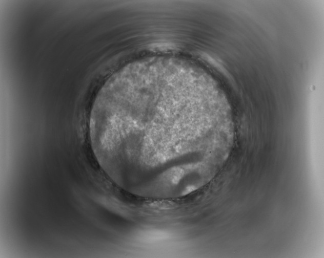 X0000088141015200706111421