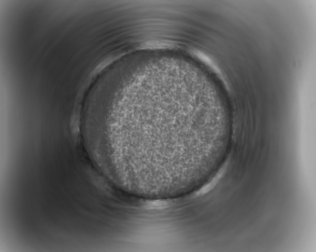 X0000088141017200706111421