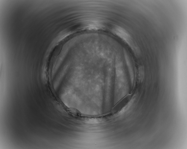 X0000088141018200706111421