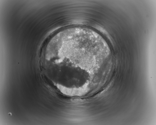 X0000088141019200706111421