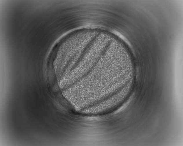 X0000088141021200706111421