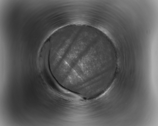 X0000088141022200706111421