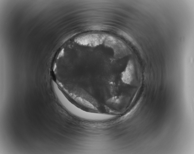 X0000088141025200706111421