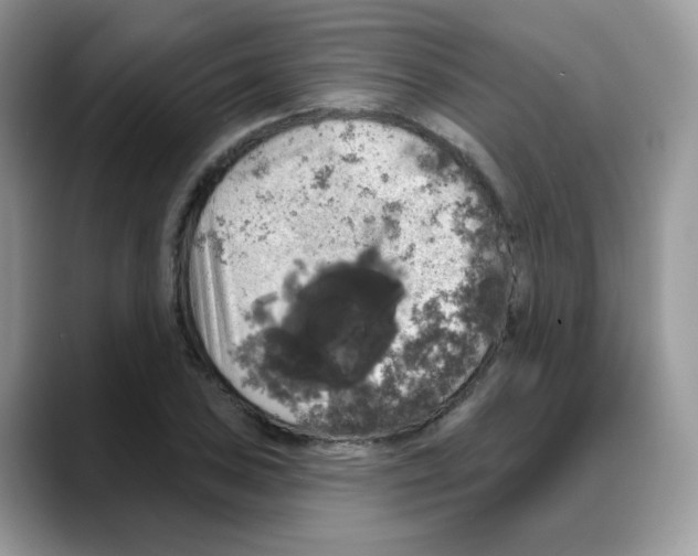 X0000088141027200706111421