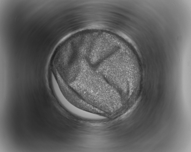 X0000088141029200706111422