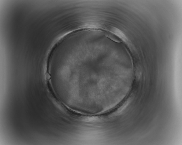 X0000088141030200706111422