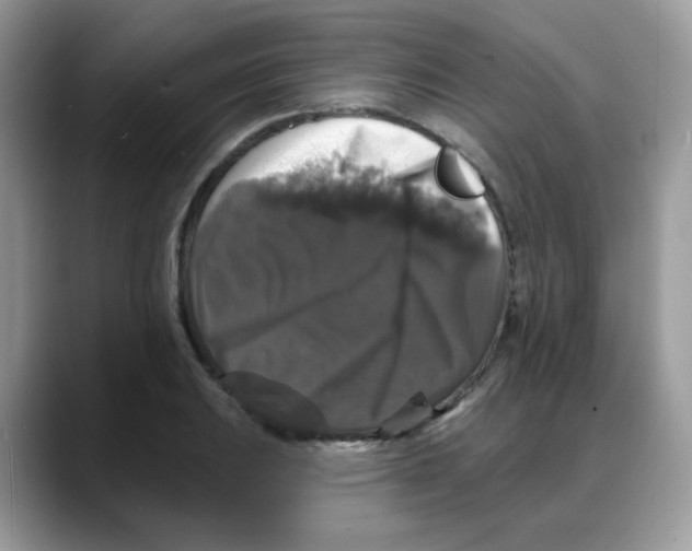 X0000088141031200706111422