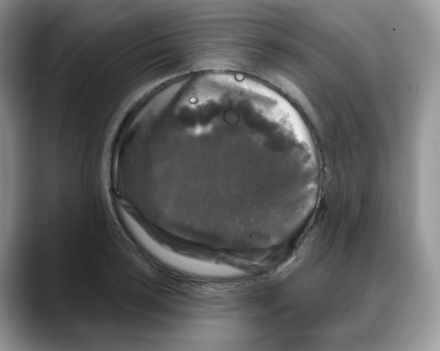 X0000088141035200706111422