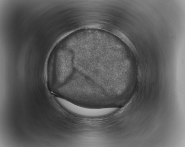 X0000088141036200706111422